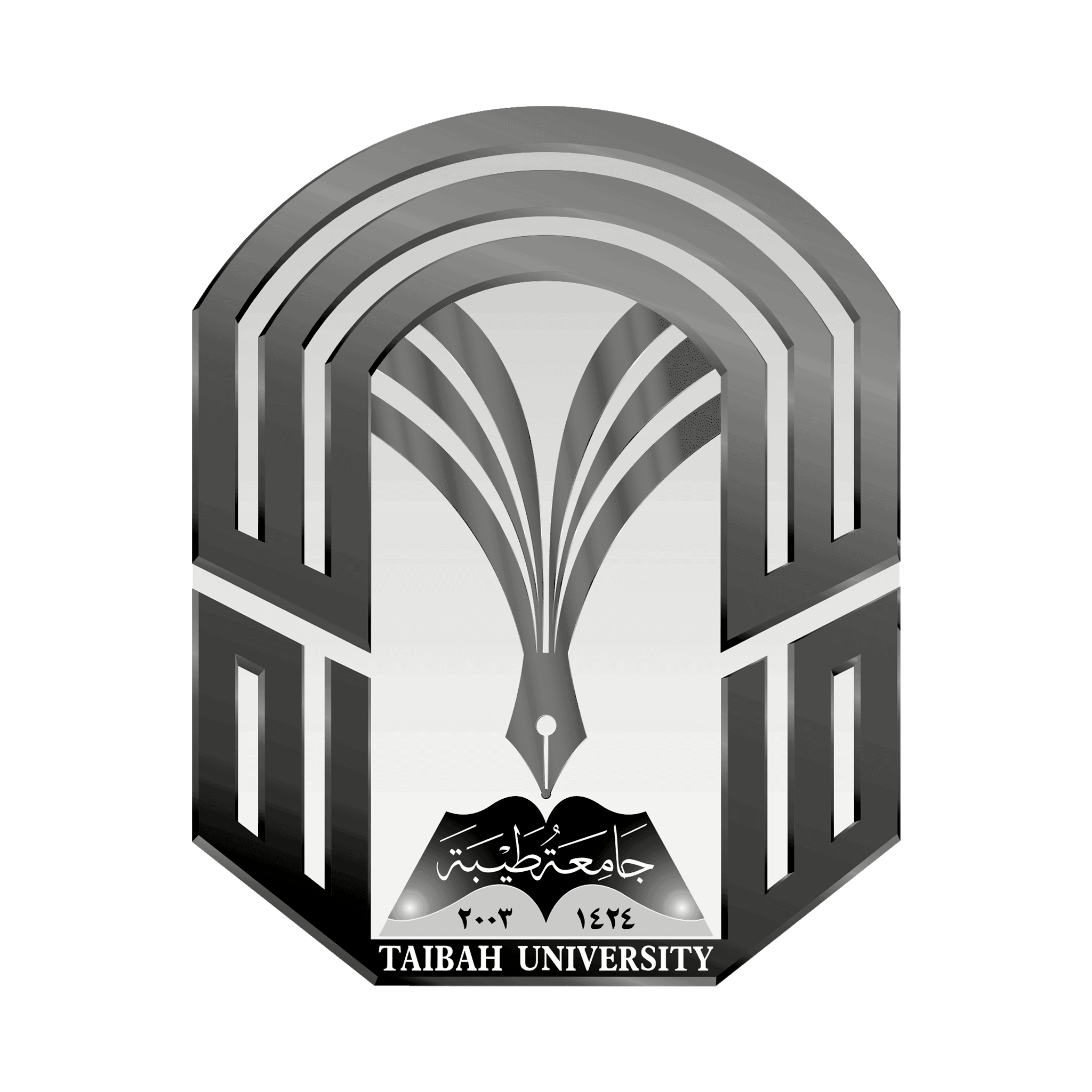 جامعة طيبة image